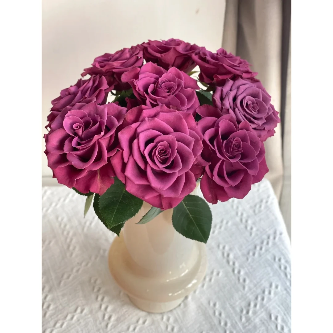 【蓝莓】云南鲜花基地现采现发蓝莓玫瑰