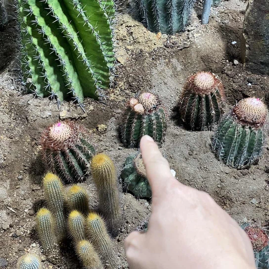 王*P0000000000000000