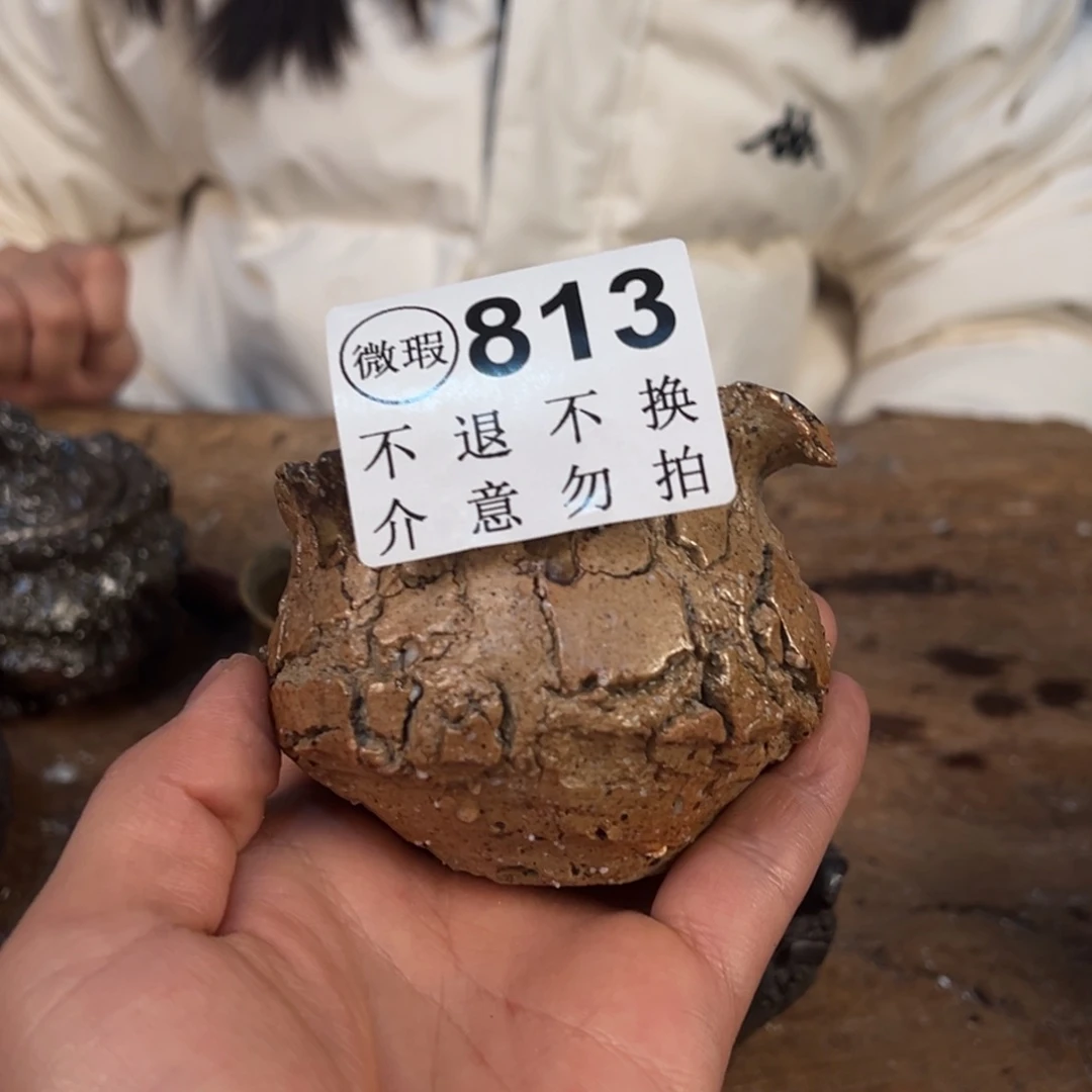 领****家壶一一一一一一一一813