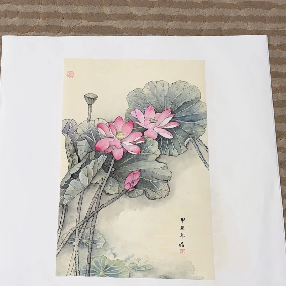 国画花鸟等多种鸟类的栖息