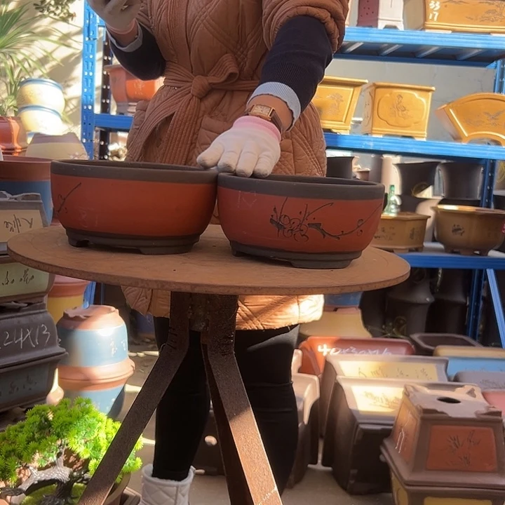 20+20红球盆花盆花盆