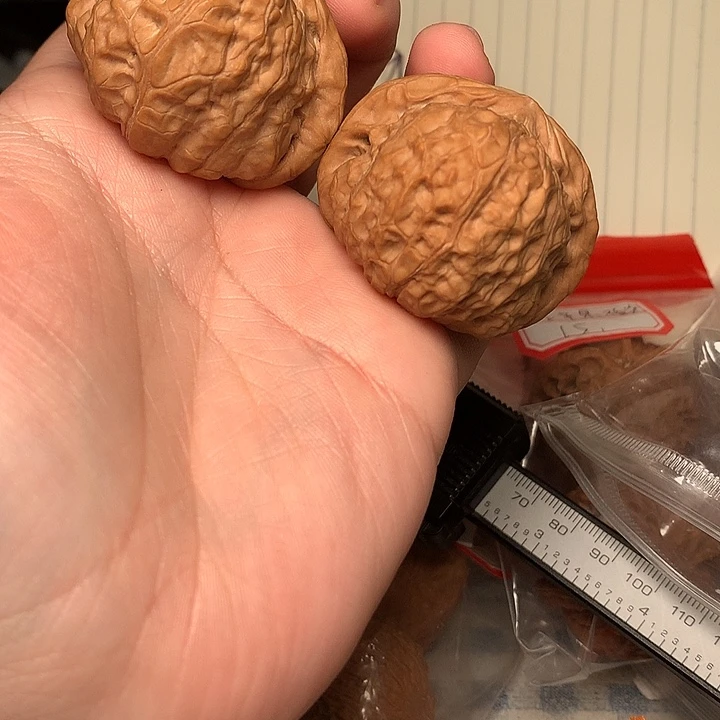 全品42尺寸南瓜墩