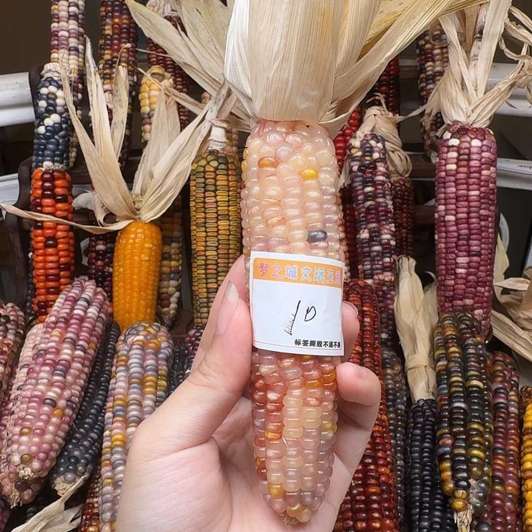 妞***吊坠柏香籽/百香籽