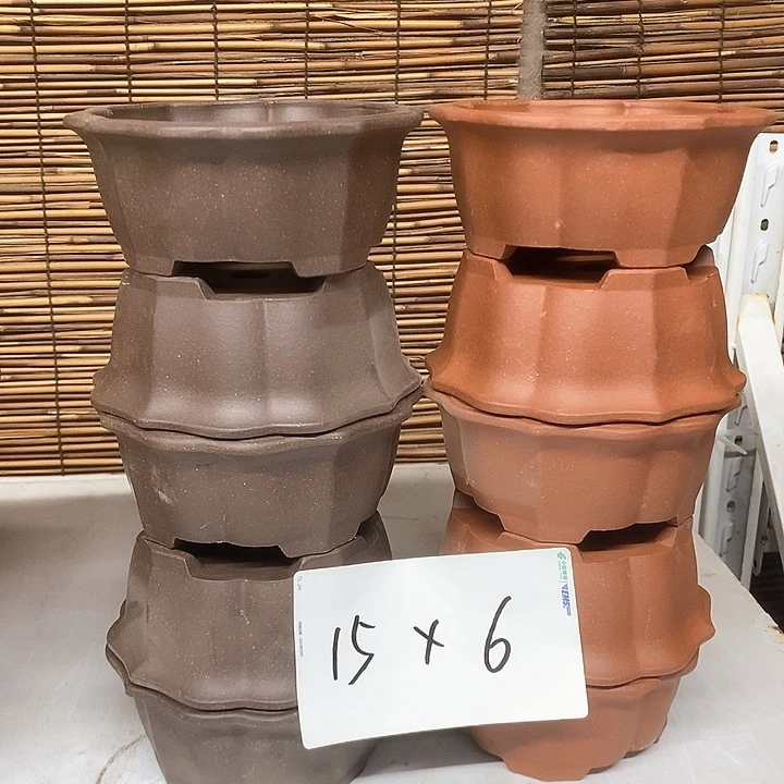 紫砂花盆我在外面