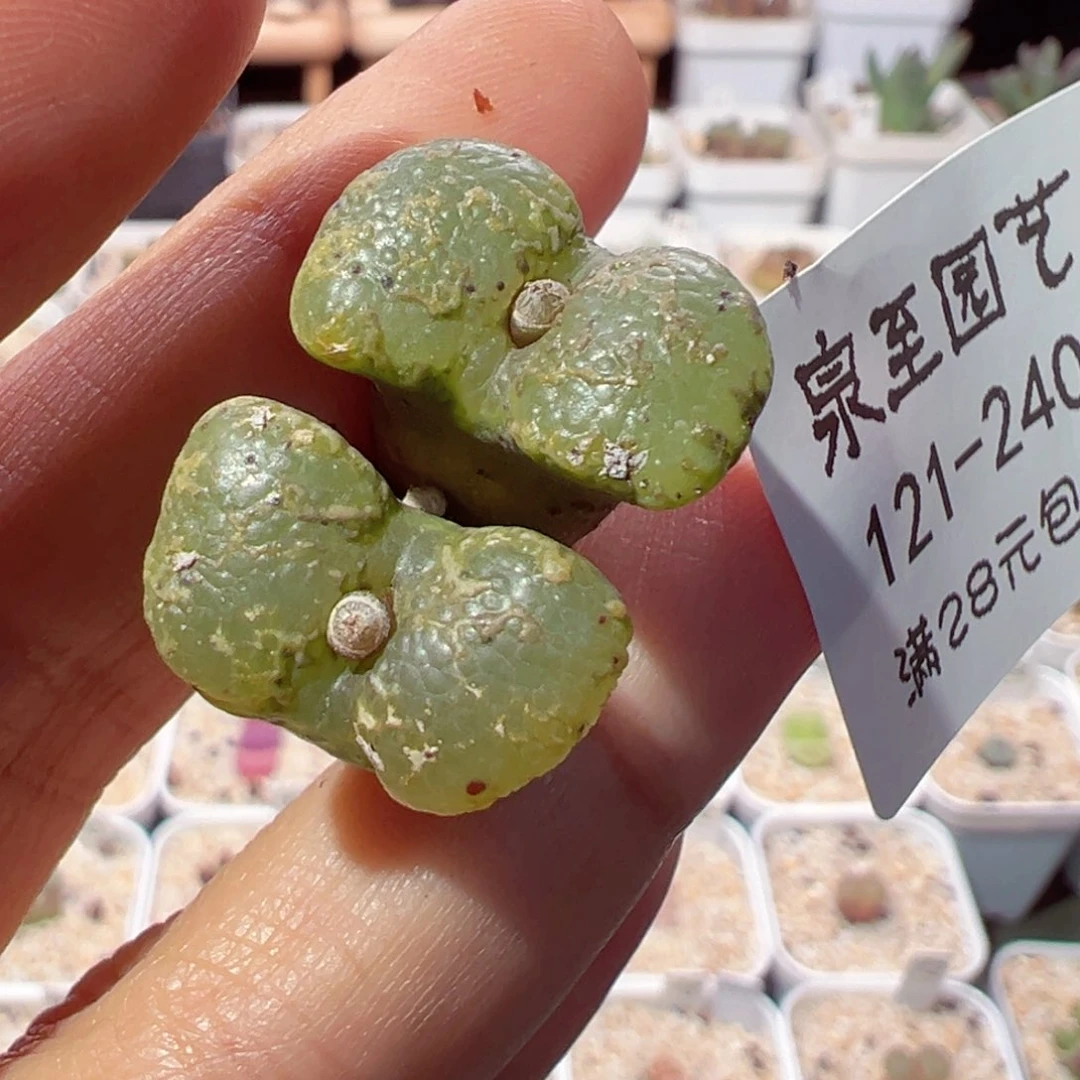 劳****?121-240.我是真的