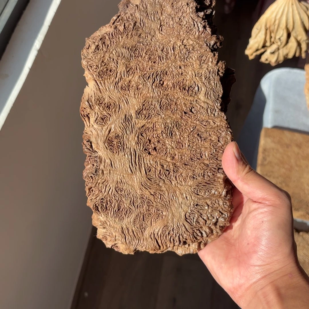 木铁栎木风化随形