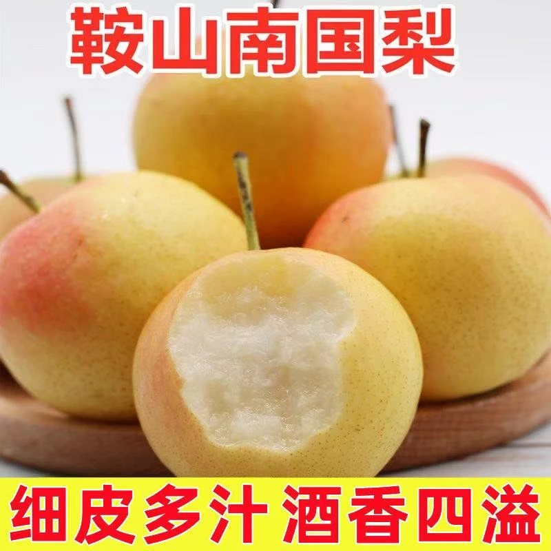 《正宗鞍山特产南果梨》细皮多汁软糯香甜顺丰包邮
