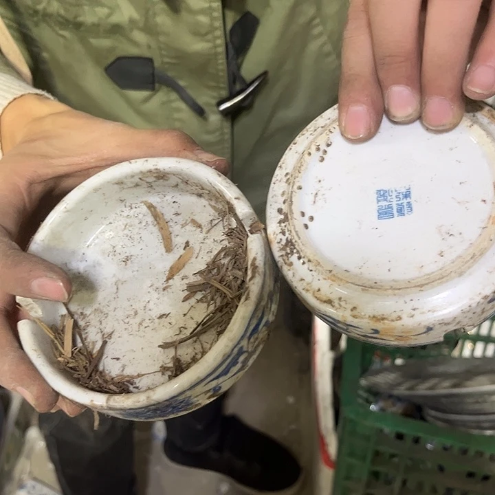 其他陶哈哈哈哈哈哈茶杯