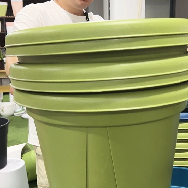 青山口40高34果绿无托5只