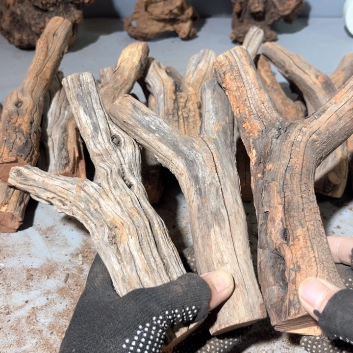 @***核大果紫檀（缅甸花梨）