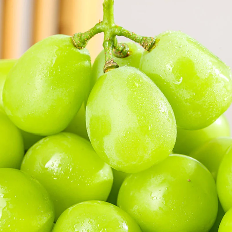 阳光玫瑰葡萄新鲜水果5斤大果晴王无籽葡萄青提子当季整箱包邮