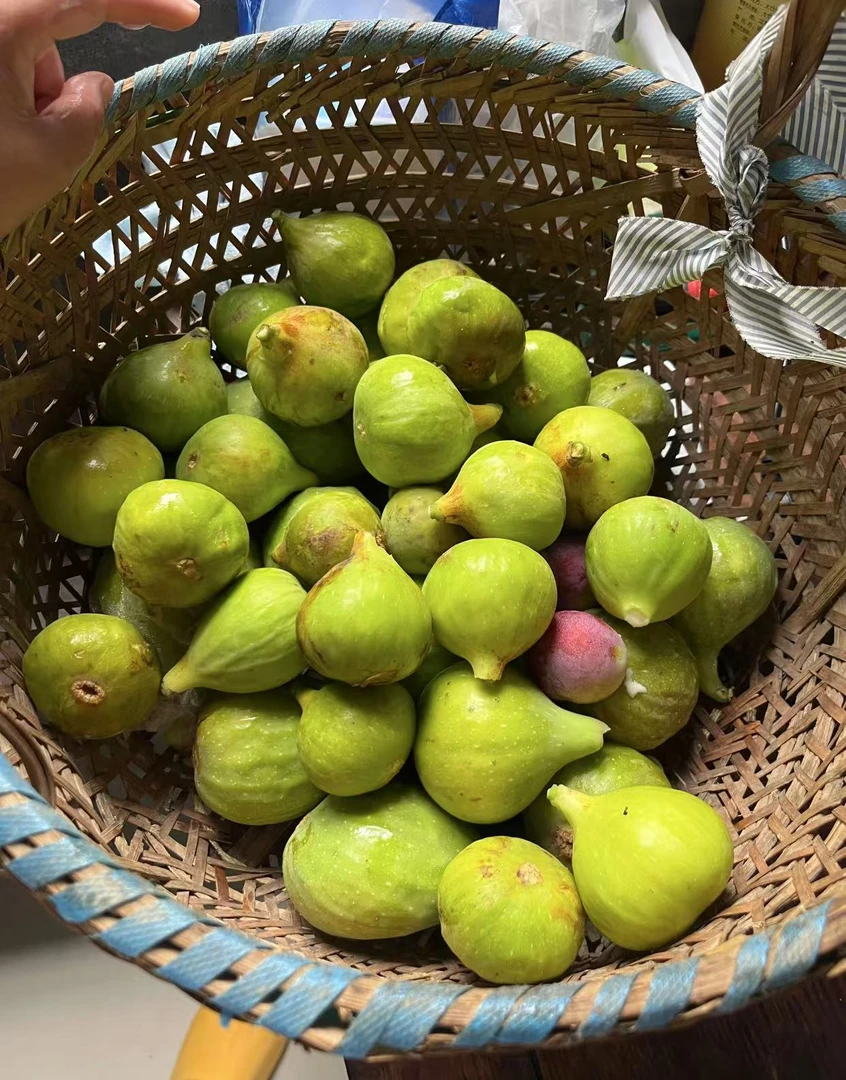 台州特色农家青皮无花果糖包子应季孕妇水果顺丰速运