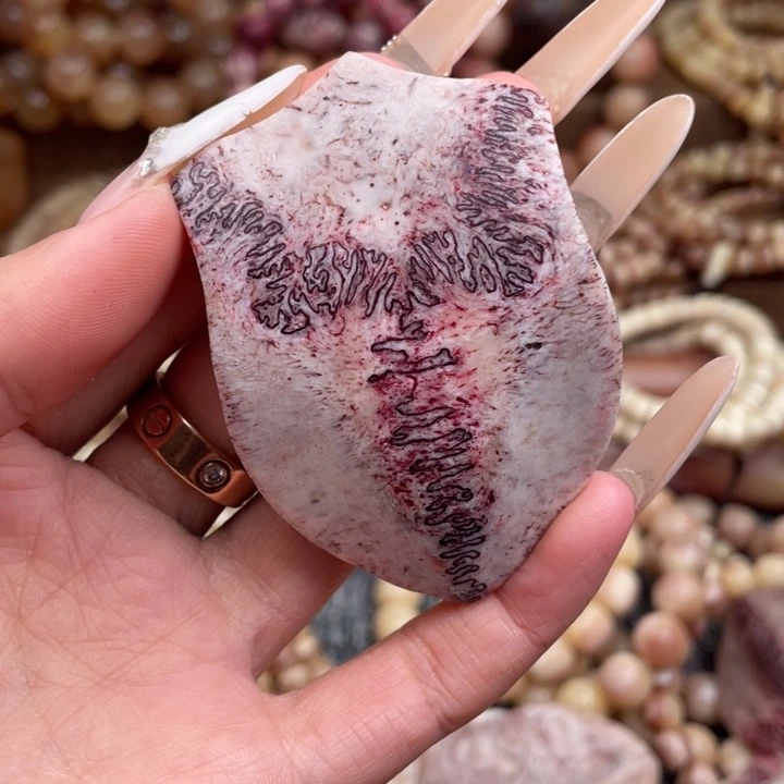 手串/手链驼骨西**野骆驼祥子