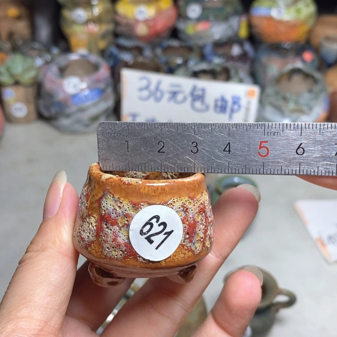 拍5送一个小礼物