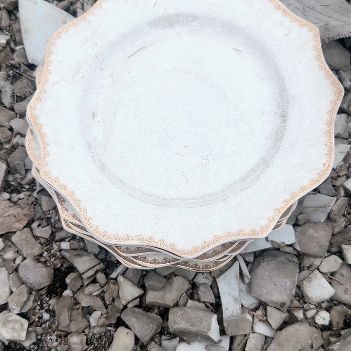 瓷微瑕疵6只喜欢拍