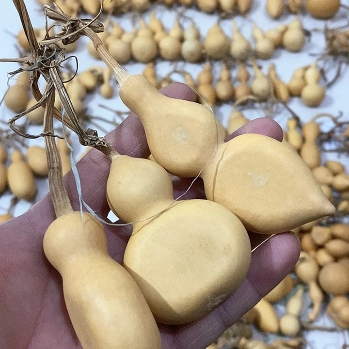 葫芦微瑕小夹扁葫芦