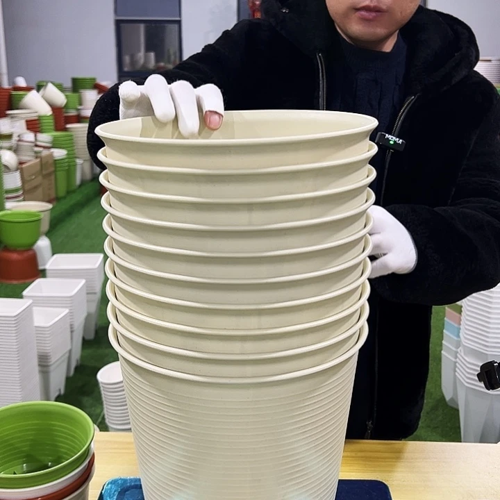 微瑕高陶口24高24米色5只无托