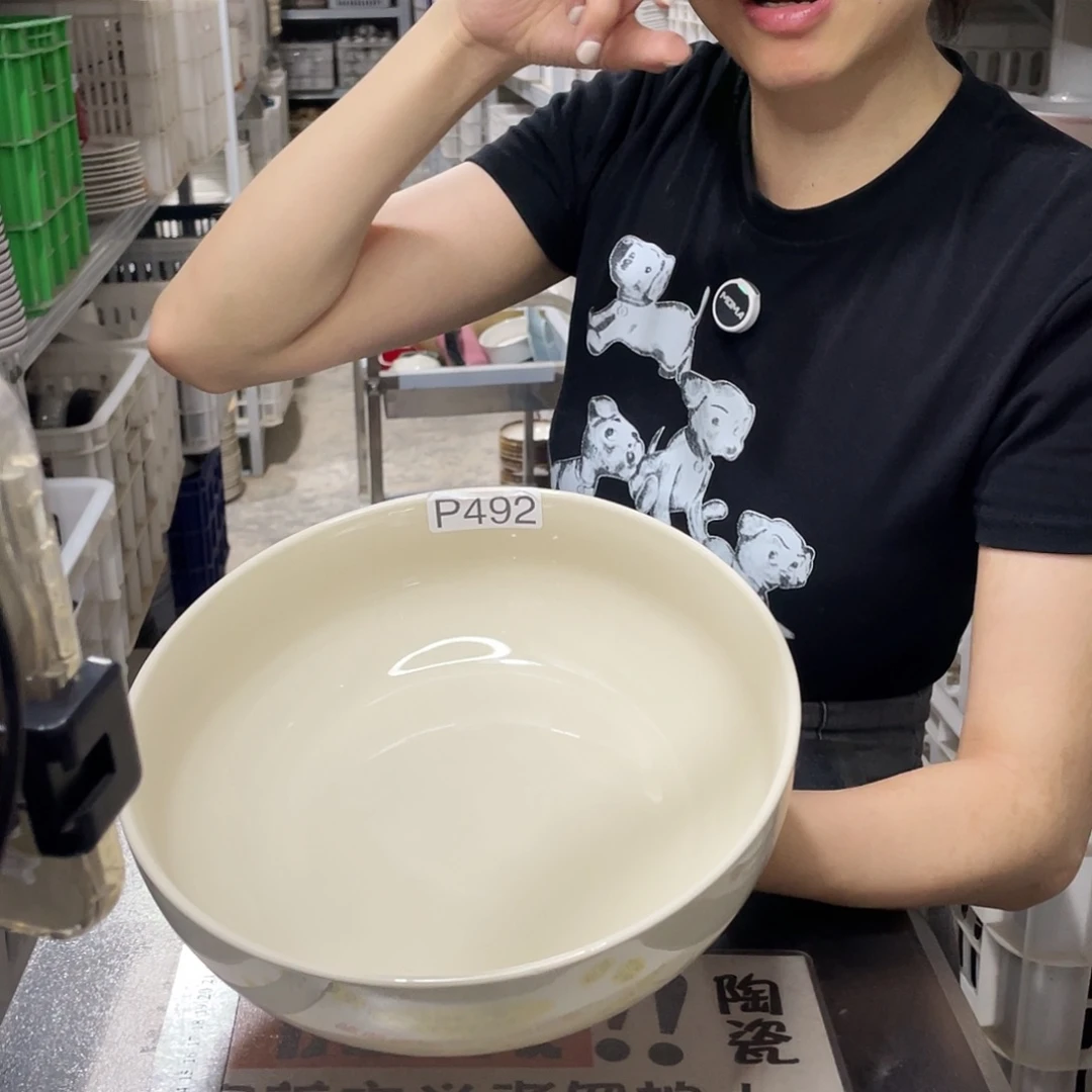 瓷片492                1个