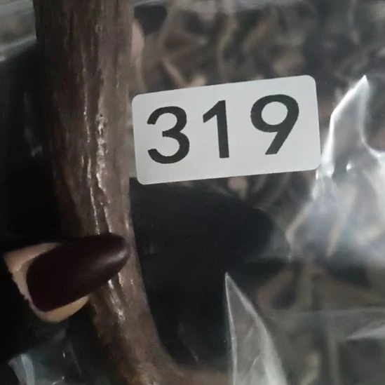 斌***6鹿角鹿角鹿角鹿角鹿角鹿角鹿角鹿角鹿角