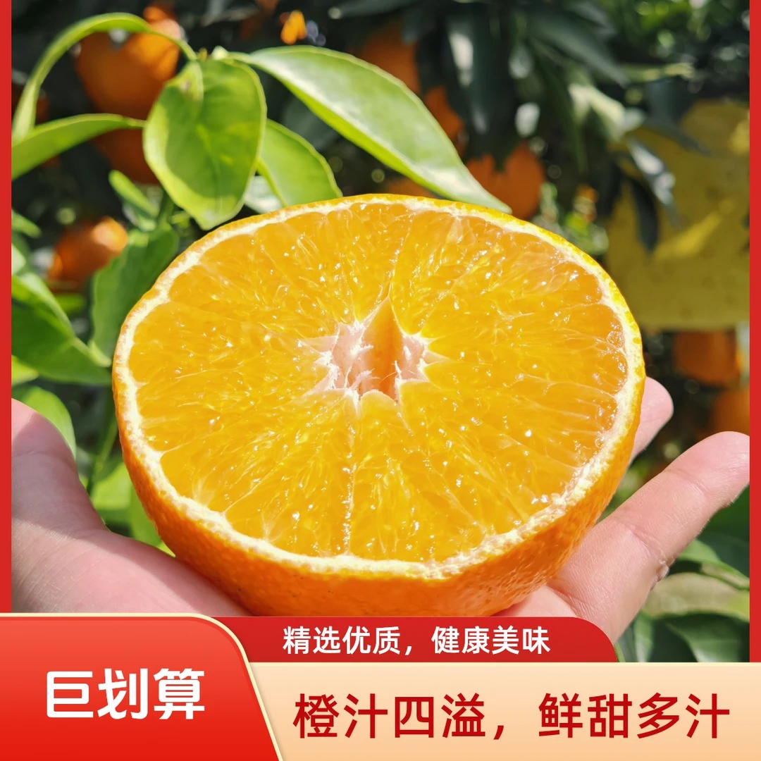 上新啦! 四川爱媛38号果冻橙-霸王果