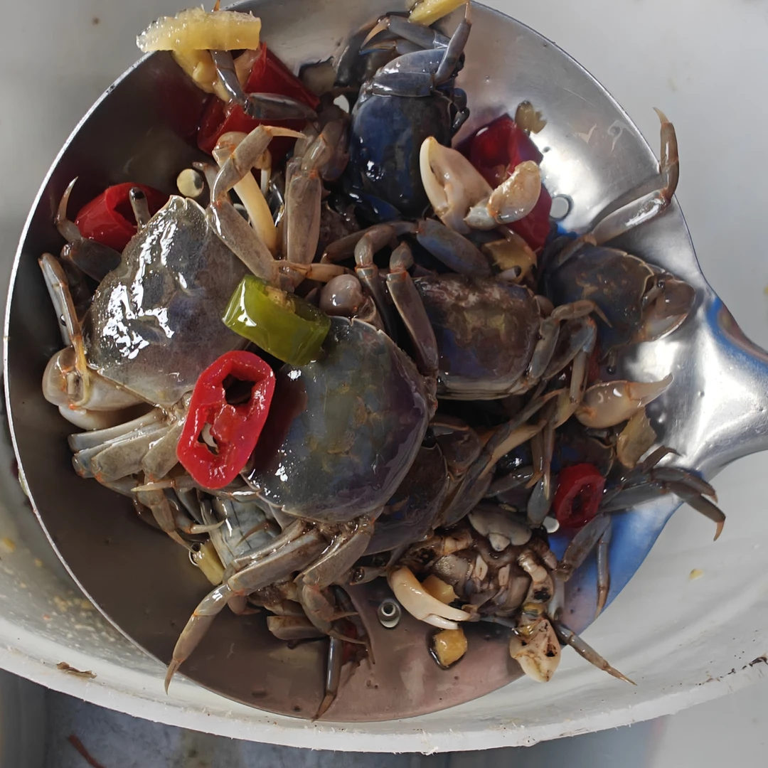 苏北大泥螺(滨海发货)江浙沪安徽包邮