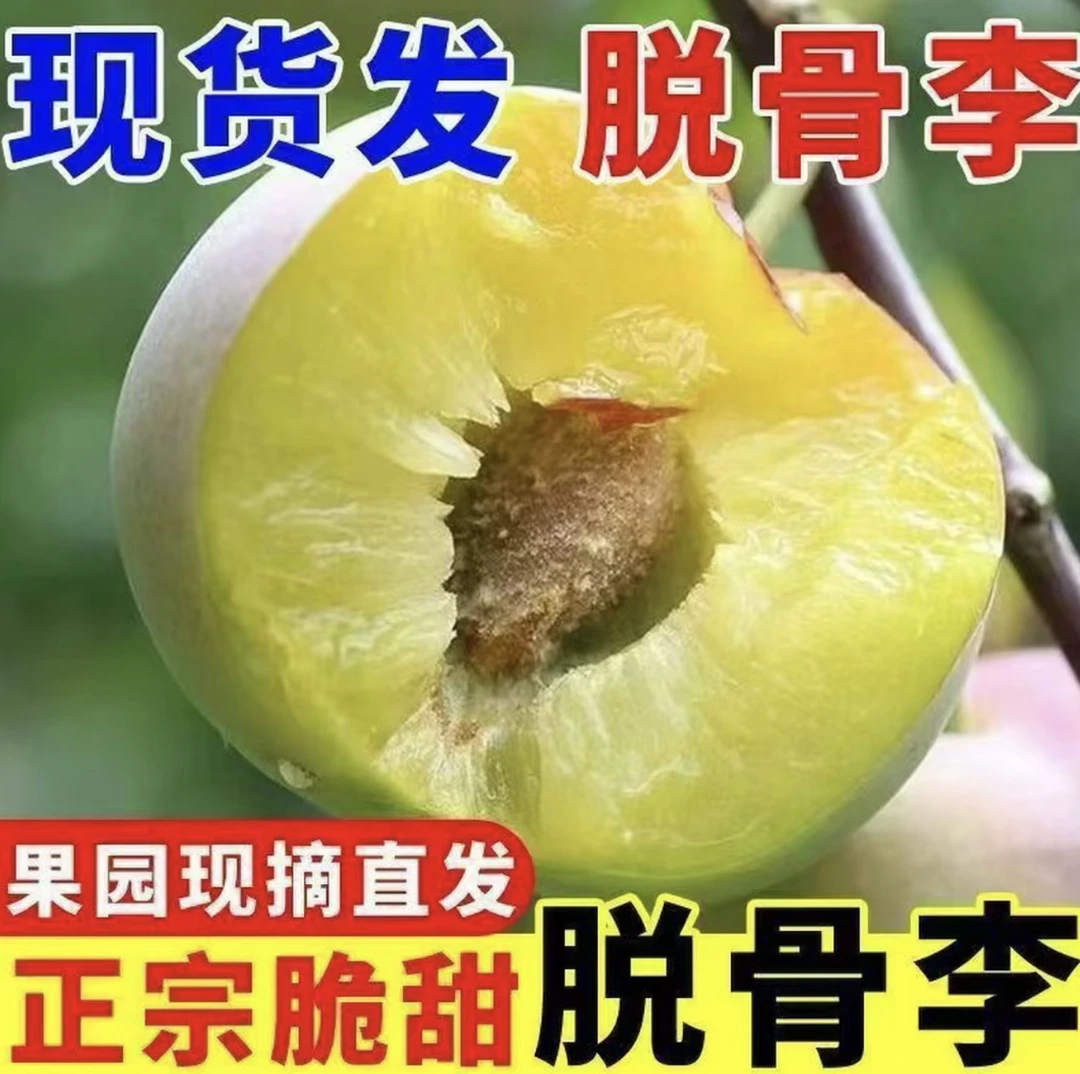 [超值9斤大果]湖南翡翠奈李脆甜多汁爽口