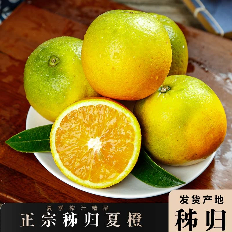 【榨汁专属】秭归夏橙酸甜多汁摆摊榨果汁商用橙子