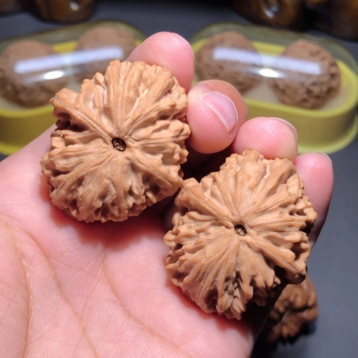 文玩核桃把件34龙眼