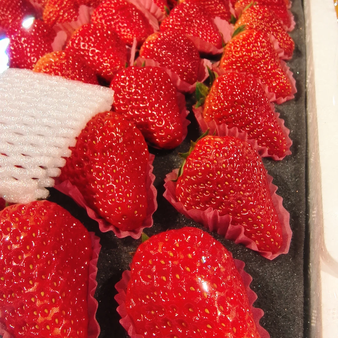 丹东久久草莓，5排，大，超甜，高品质，找便宜的绕kg