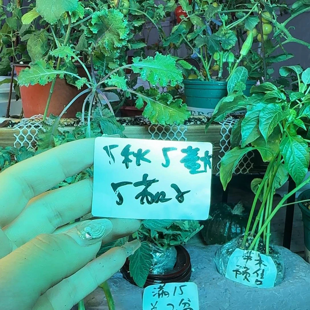 橙***子快乐快乐哈哈快刘
