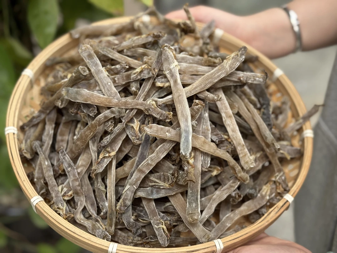 灰沙虫干深海野生沙虫干