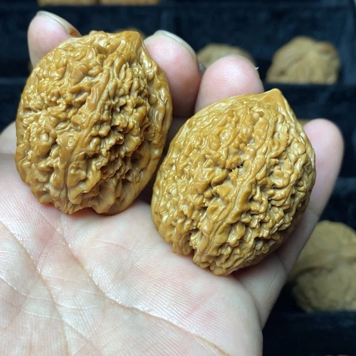 全品大蒜头35尺寸