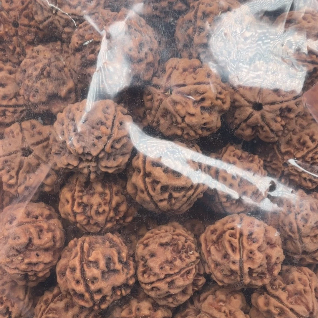 无***忧金刚菩提手串原生福利歪籽