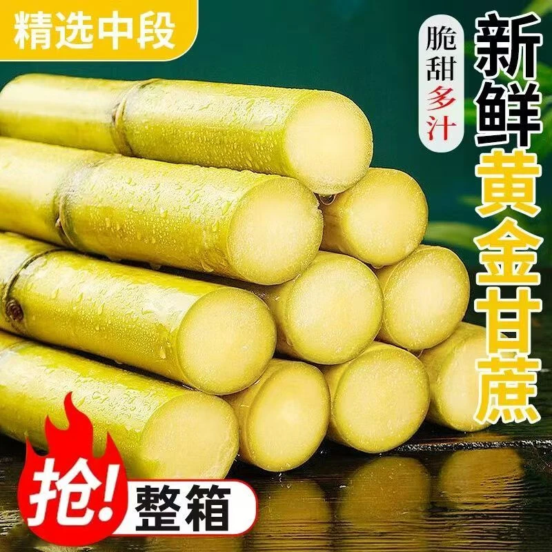 云南新鲜黄金甘蔗现砍现发薄皮手撕脆甜多汁当季水果3