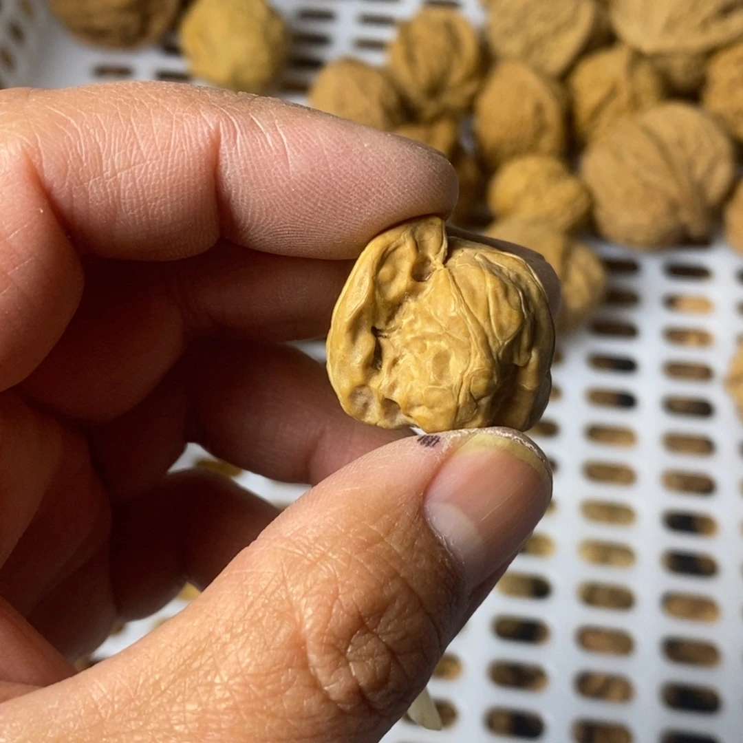 求***之文玩核桃吊坠文玩