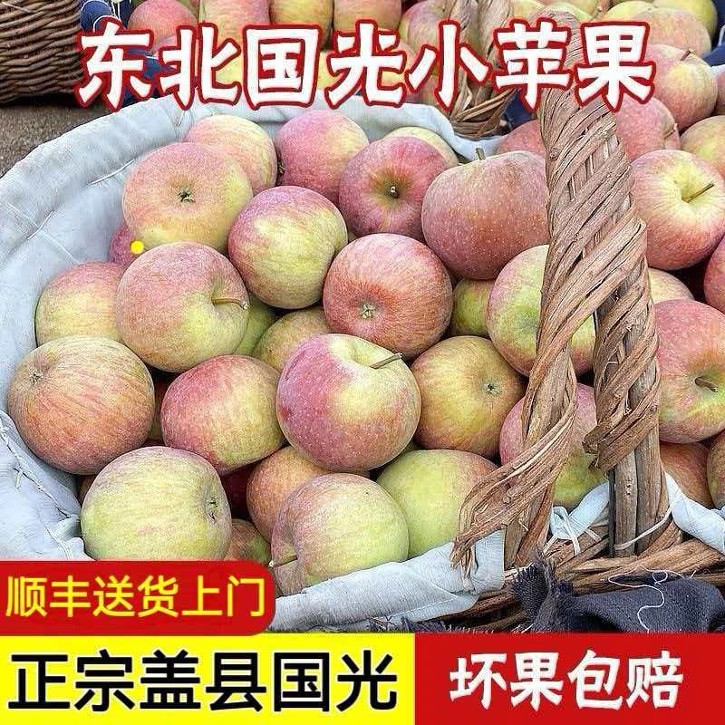 【顺丰】东北盖县正宗老树笨果不套袋国光苹果酸甜可口新鲜应季水果