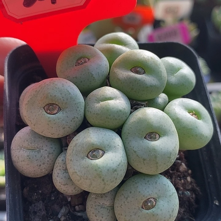 在一起就是为了玩好2018