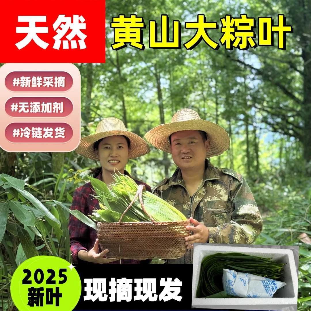 粽叶2025黄山新鲜箬竹叶端午包粽子叶子当天采摘当天发货保鲜