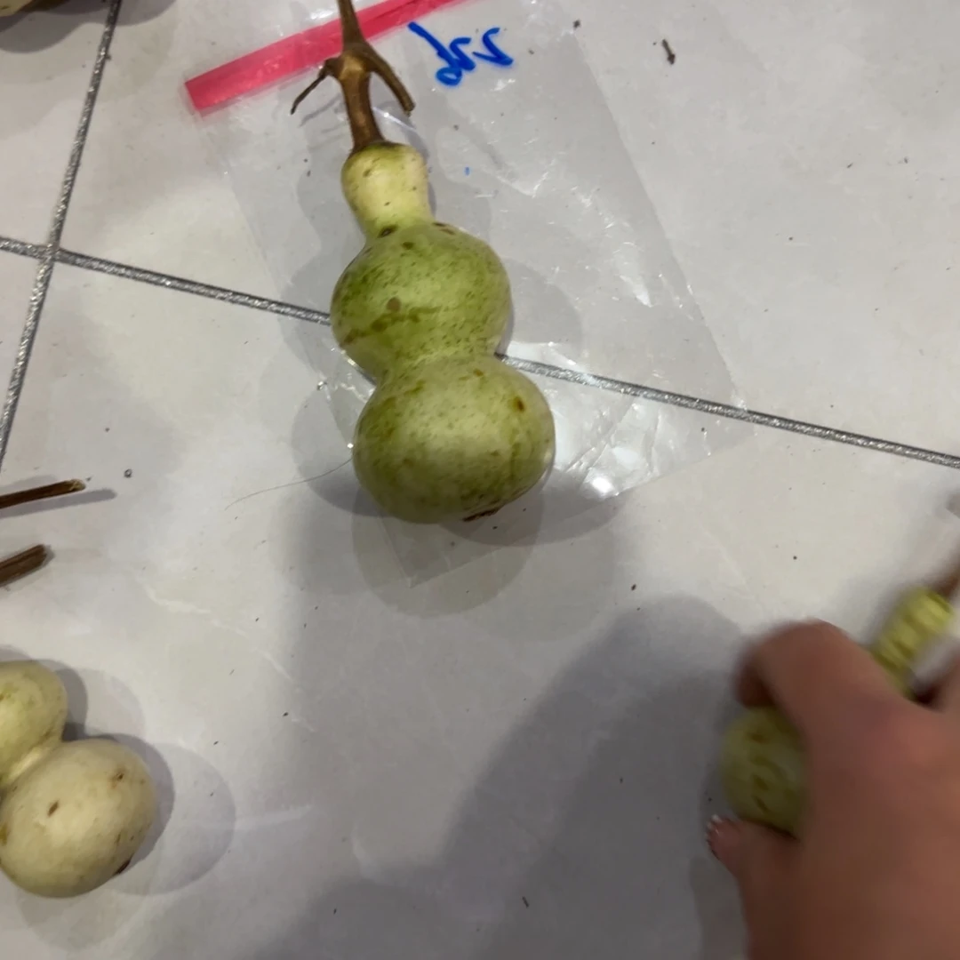*****青皮不包成功这两种情况就是