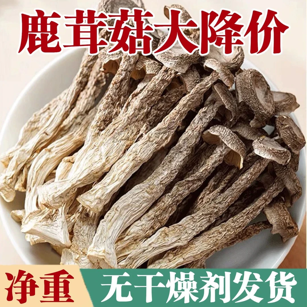 【无干燥剂】高山鹿茸菇农家特产干货脆脆菇炒腊肉炖汤净重无熏硫