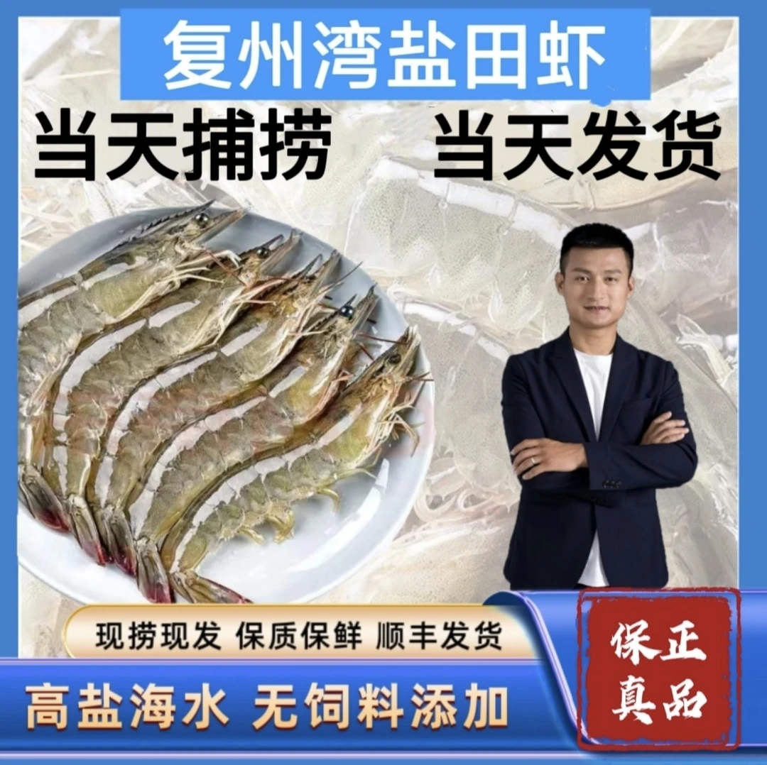 Y复州湾盐场虾 3 斤（大小不均、嫌小勿拍）