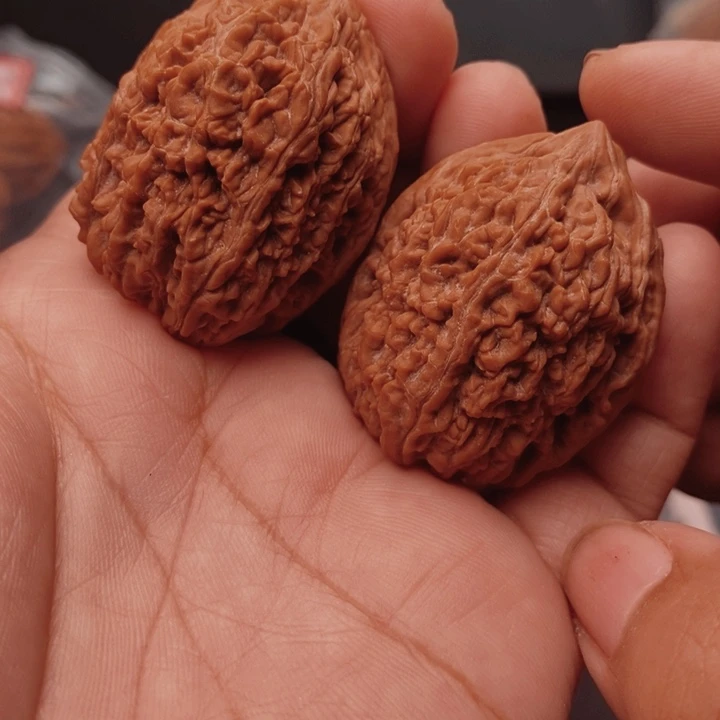 核桃大蒜头33尺度