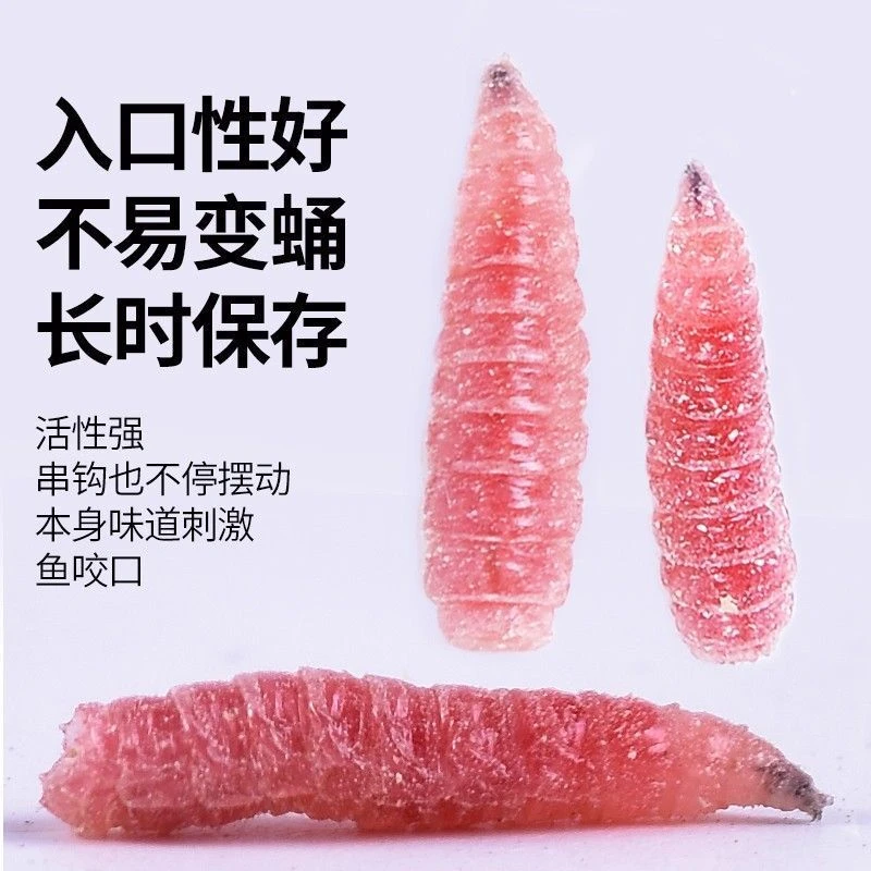 新鲜红蛆虫活饵料活饵野钓钓鱼现挖现发新鲜包邮散装急速发货