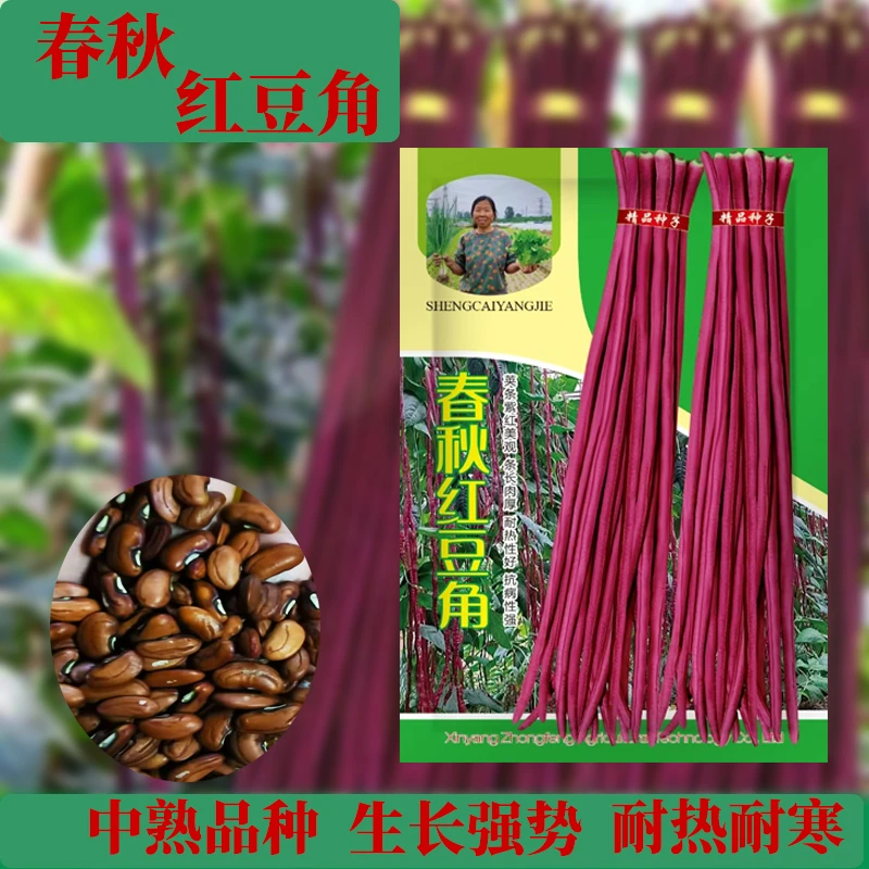 春秋红豆角子长豆角夏秋季中晚熟耐热蔬菜种子