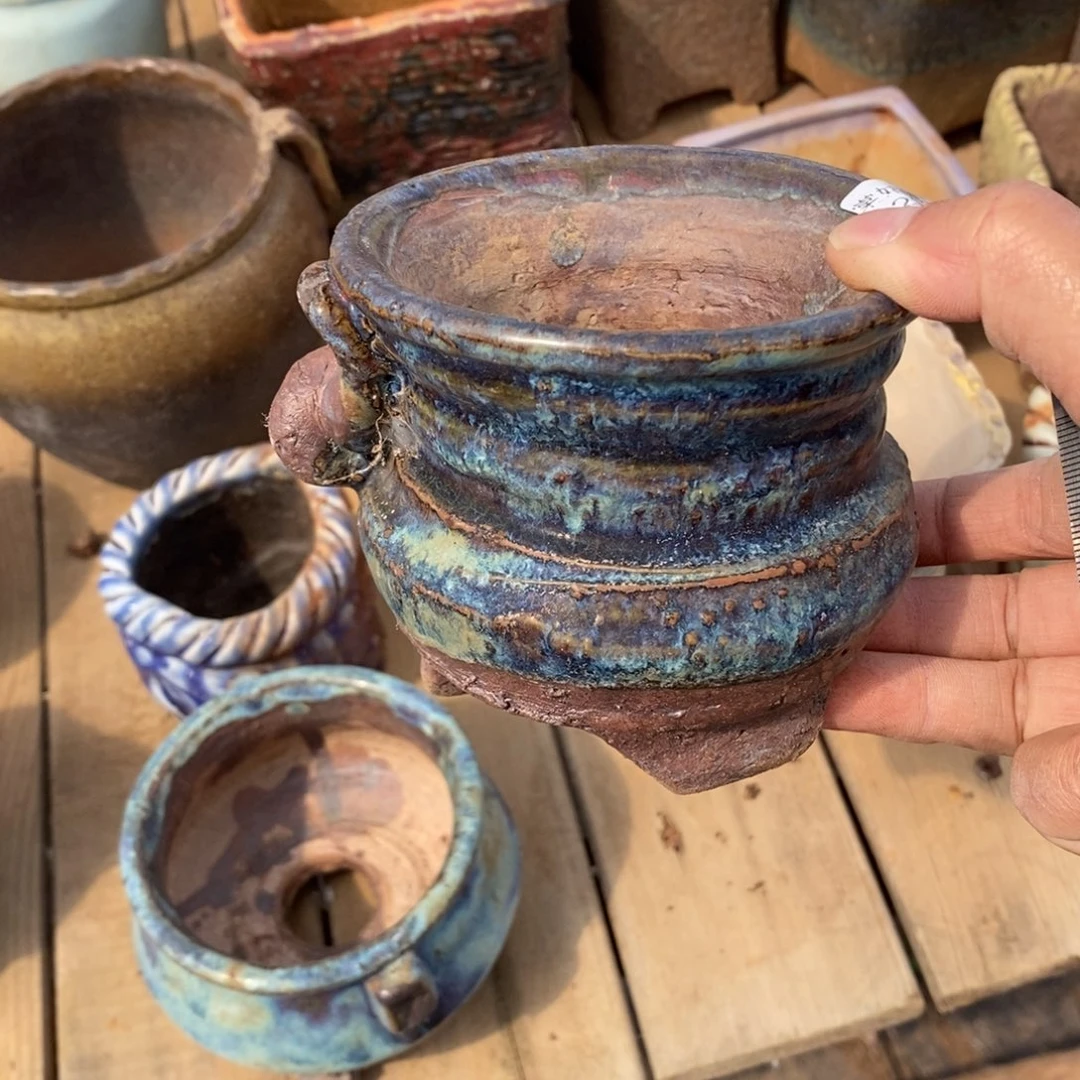 红陶居***?80号多肉盆一个呀