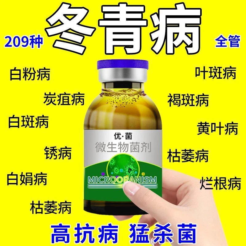 冬青树病害专用肥冬青白粉病白斑病炭疽病根腐病枝枯病专用杀菌剂