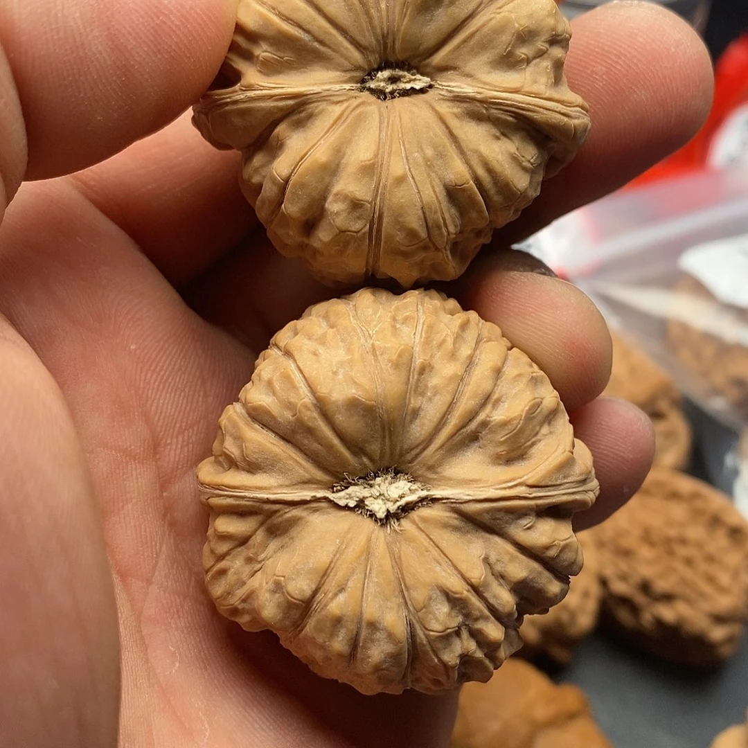 文玩核桃把件美**生南瓜42.5