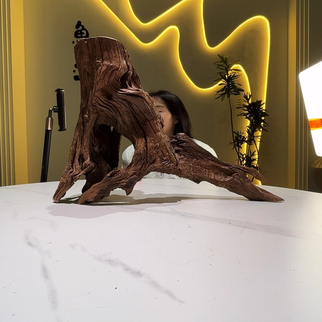 瓦当会黄黑红水54 19 37