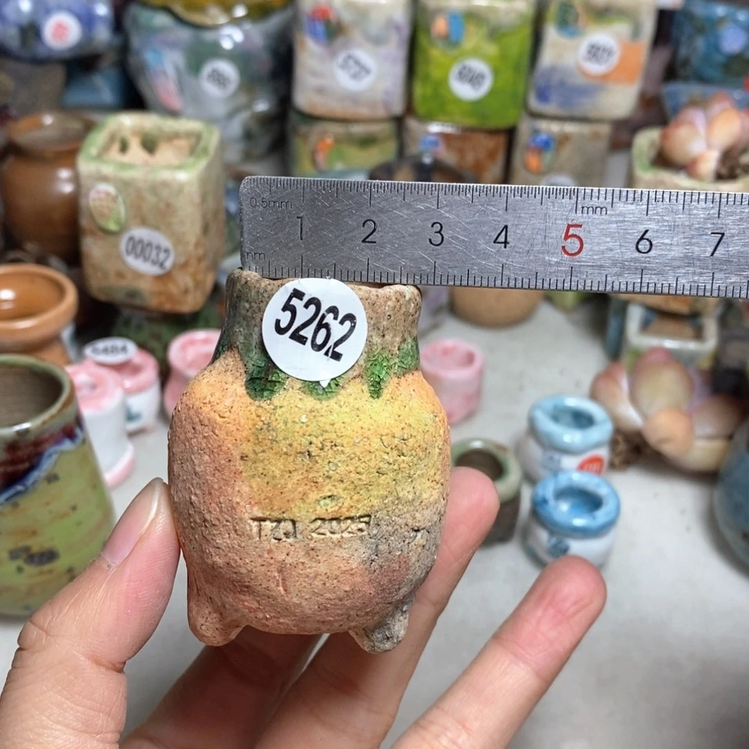 拍5送一个小礼物