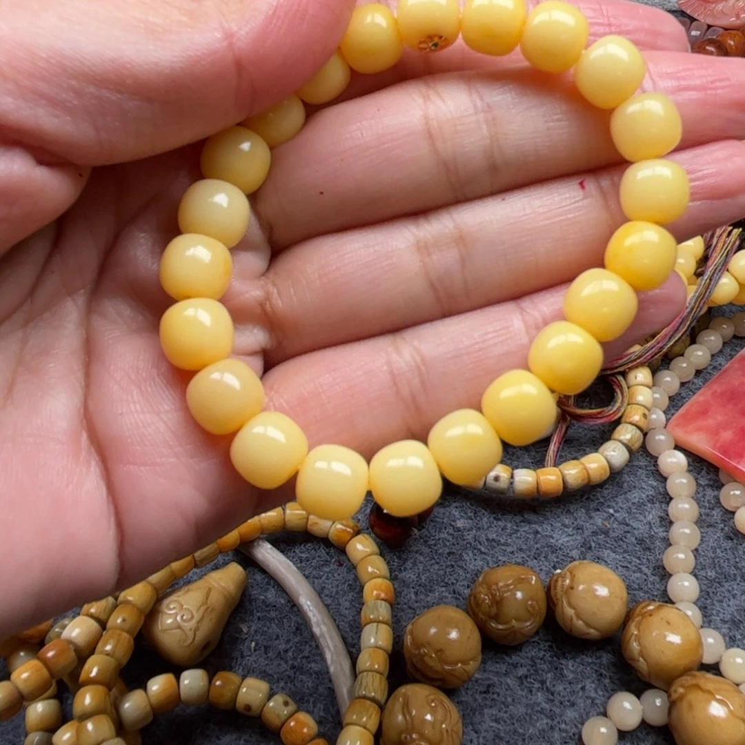 鹿骨其他人工养殖驼骨28